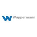Slika - Wuppermann EN 10204-2.2 S250 GD Z450 MA