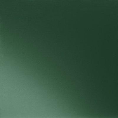 Mahovinasto zelena 6005 - Slika