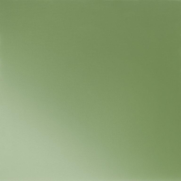 Trava zelena  6011  -  Pocink obojeni  -  Slika