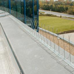 Sistem šiljaka za sprečavanje sletanja ptica  - Inox  - Natur  -  Slika 2