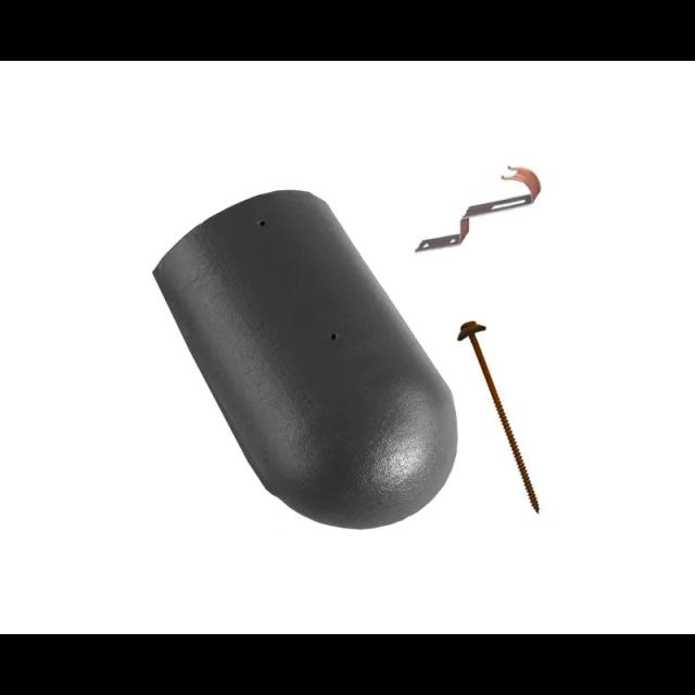 Slika - Slemenjak početni i završni DANUBIAnull