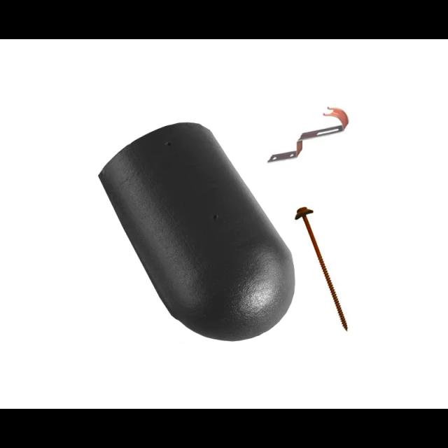 Slika - Slemenjak početni i završni DANUBIAnull