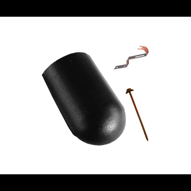 Slika - Slemenjak početni i završni DANUBIAnull