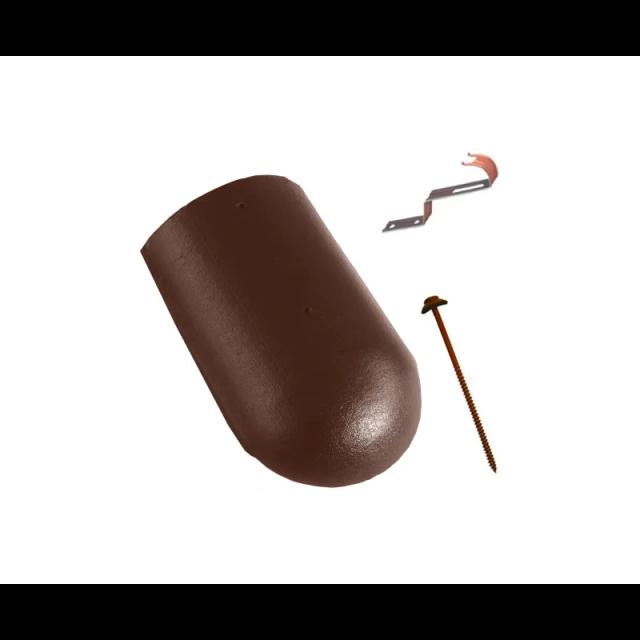 Slika - Slemenjak početni i završni DANUBIAnull