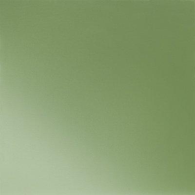 Trava zelena 6011 - Slika