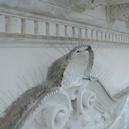 Sistem šiljaka za sprečavanje sletanja ptica - Inox - Natur - Slika 2